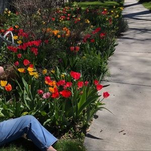 Meet your Posher, Isabella